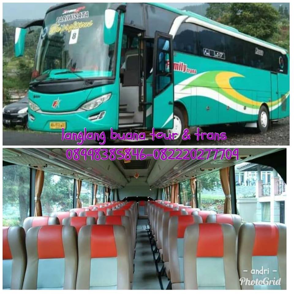 Mengapa Patas Family Trans Jadi Pilihan Favorit Wisatawan Cilacap?